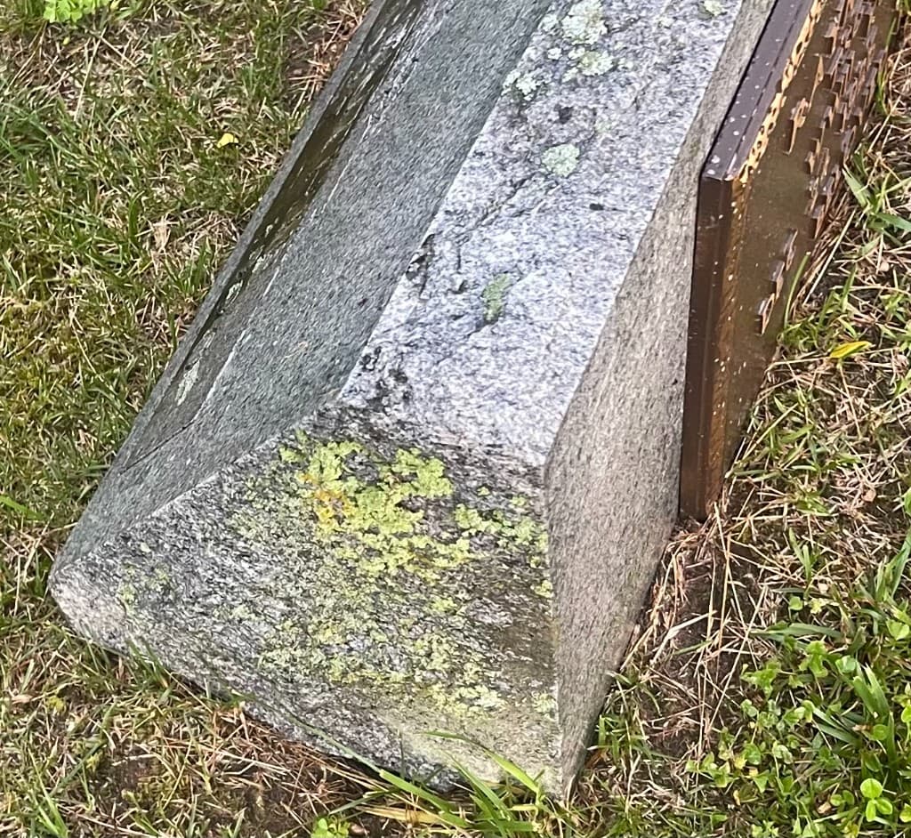Lichen growth on granite base before cleaning
